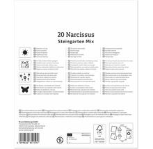 Verso ambalaj pentru 20 de narcise mix pentru grădini de stâncă cu pictograme privind amplasarea, utilizarea, creșterea și atragerea insectelor.