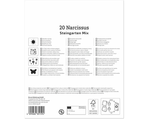 Verso ambalaj pentru 20 de narcise mix pentru grădini de stâncă cu pictograme privind amplasarea, utilizarea, creșterea și atragerea insectelor.