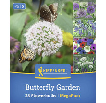 Bulbi de flori Kiepenkerl Butterfly Garden Mega Pack cu 28 de bulbi pentru o pajiște cu flori prietenoasă cu insectele.