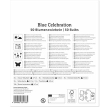 Partea din spate a ambalajului produsului pentru bulbii de flori Blue Celebration cu informații despre plantare și conținutul amestecului.