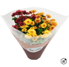 Un buchet de crizanteme asortate în ambalaj decorativ din hârtie. (Image AI modified or generated)