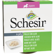 Hrană umedă pentru căței Schesir Puppy pui cu aloe în jeleu