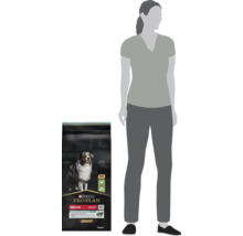 Hrană pentru câini Purina Pro Plan Medium Adult Sensitive Digestion cu miel 14 kilograme