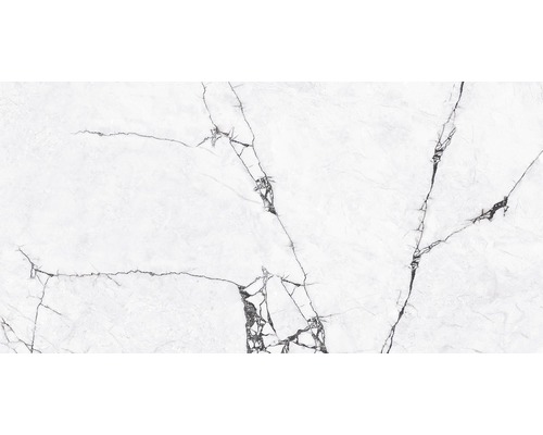 Gresie / Faianță porțelanată glazurată Vira Grey rectificată 60x120 cm