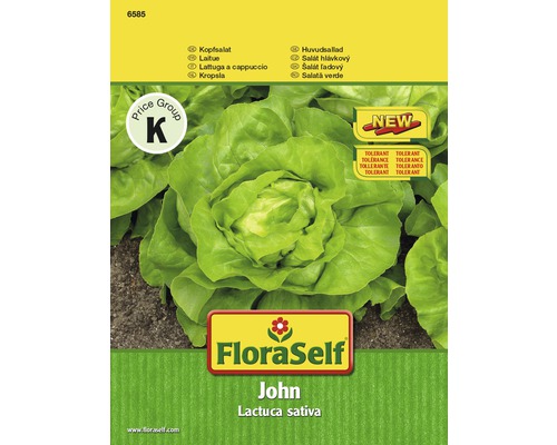 FloraSelf semințe de salată 'John'