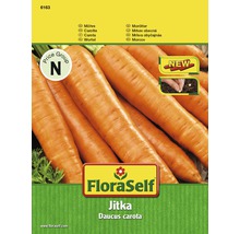 FloraSelf semințe de morcovi 'Jitka'-thumb-1