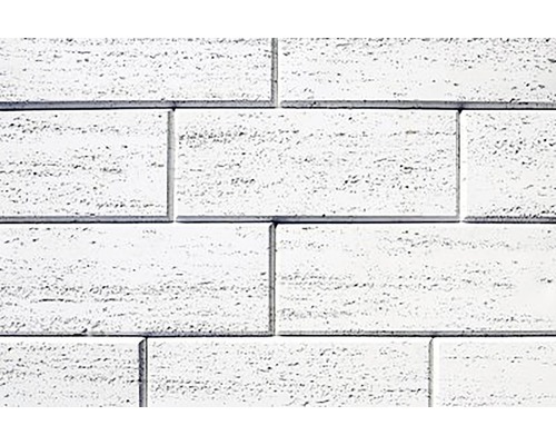 Placaj decorativ STAR STONE Traverstone 50x20x2 cm white Placare perete din travertin