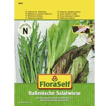 FloraSelf bandă cu semințe de salată italiană-thumb-0