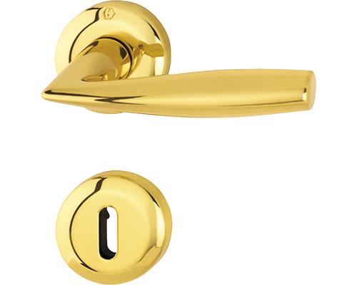 Mânere cu rozetă ușă interior Hoppe Vitoria, pentru cheie BB, auriu