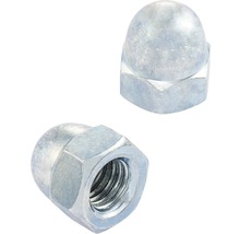 Două piulițe oarbe metalice