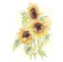 Fototapet vlies X4-1008 Girasol 200x250 cm