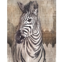 Fototapet vlies X4-1010 Zebra 200x250 cm