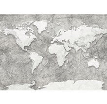 Fototapet vlies X7-1007 World Relief 350x250 cm