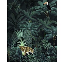 Fototapet vlies X4-1027 Jungle Night 200x250 cm