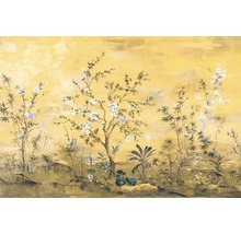 Fototapet vlies XXL4-1029 Mandarin 368x248 cm
