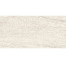 Gresie exterior / interior porțelanată glazurată Canada albă 30x60 cm-thumb-1