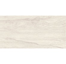 Gresie exterior / interior porțelanată glazurată Canada albă 30x60 cm-thumb-4