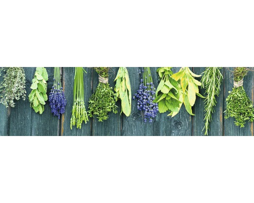 Diverse legături de ierburi atârnă pe o scândură de lemn.