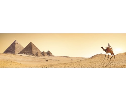 Vedere panoramică a piramidelor din Gizeh cu un beduin pe o cămilă
