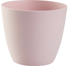 Ghiveci de flori roz