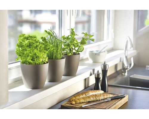 Scenă de bucătărie cu ierburi în ghivece pe pervazul ferestrei, pâine pe un tocător