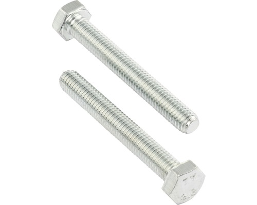 Două șuruburi hexagonale din metal