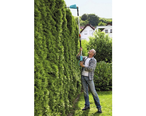 Un bărbat taie un gard viu înalt cu o foarfecă de gard viu cu acumulator cu tijă telescopică