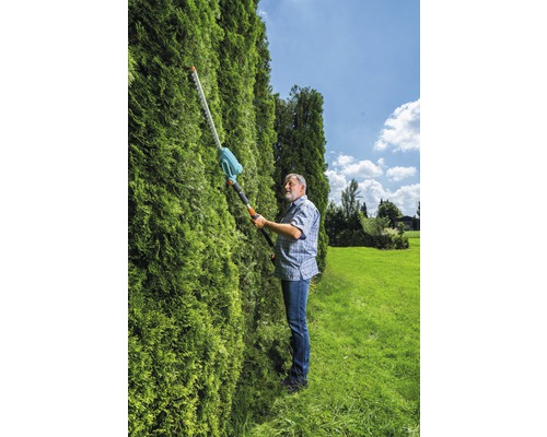 Bărbat tunde gard viu cu o foarfecă de gard viu