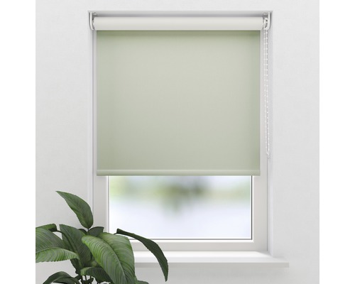 Rulou pe fereastră cu lanț și plantă