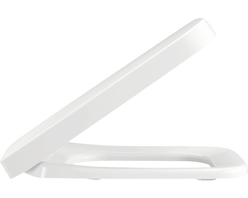 Capac de toaletă deschis