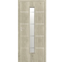 Ușă de interior cu panou de sticlă și linii decorative orizontale