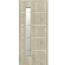 Ușă de interior cu inserție de sticlă și linii decorative orizontale