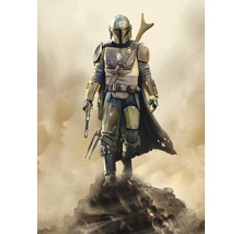 Fototapet vlies DX4-086 SW Mandalorian Hunter 200x280 cm