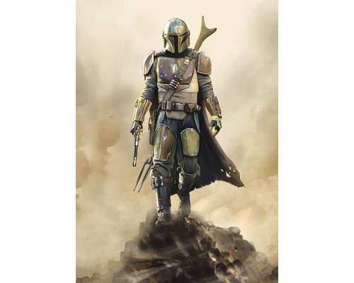 Fototapet vlies DX4-086 SW Mandalorian Hunter 200x280 cm