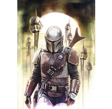 Fototapet vlies DX4-085 Mandalorian Big Impal 200x280 cm