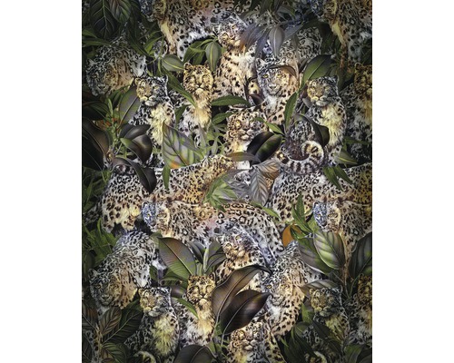 Fototapet vlies X4-1046 Wild Cats 200x250 cm