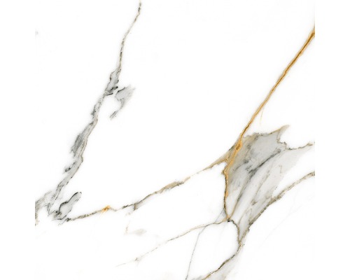 Gresie exterior / interior porțelanată Carrara White Polished rectificată 60x60 cm Gresie exterior / interior porțelanată Carrara White Polished rectificată 60x60 cm