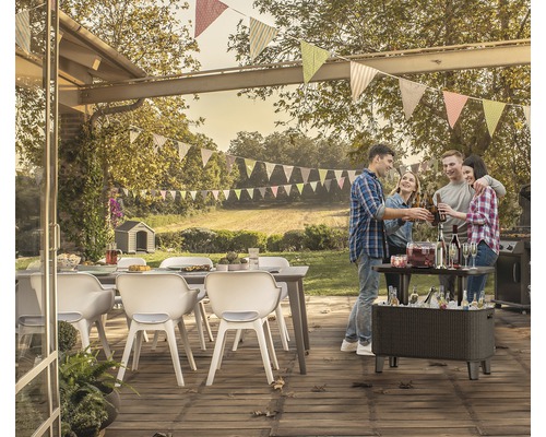 Scenă în aer liber cu un grup de persoane care ciocnesc sub o verandă decorată cu steaguri de petrecere, la o masă cu băuturi, lângă o masă cu scaune