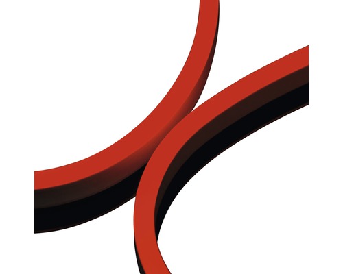 Două inele de etanșare curbate