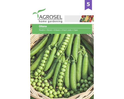 Semințe legume Agrosel mazăre Oltena PG5