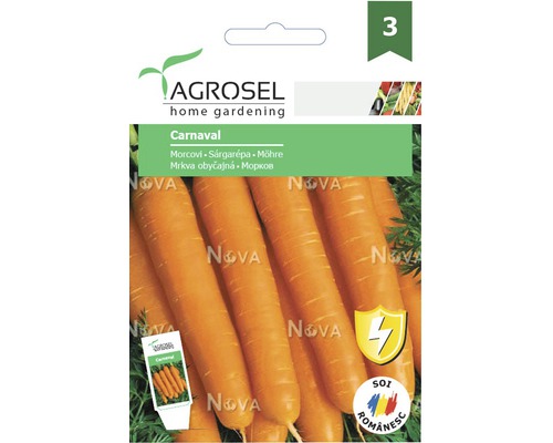 Semințe legume Agrosel morcovi Carnaval PG3