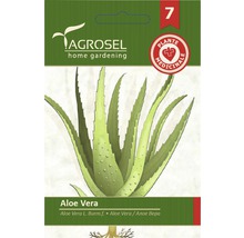 Pachet de semințe de Aloe Vera