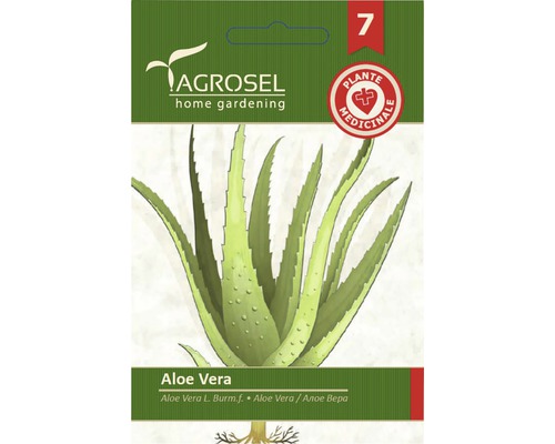Semințe flori Agrosel Aloe Vera PG7