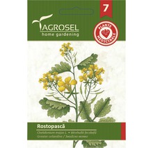 Semințe flori Agrosel rostopască PG7-thumb-0