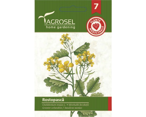 Semințe flori Agrosel rostopască PG7-0