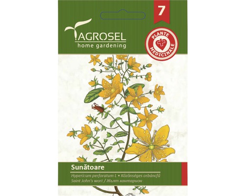 Semințe de sunătoare PG7 Agrosel