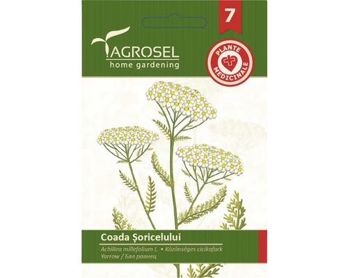 Semințe de coada șoricelului PG7 Agrosel-0