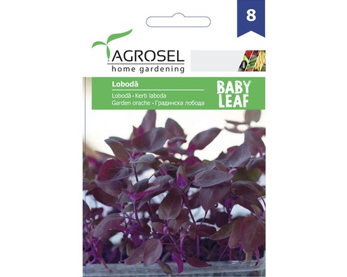 Semințe legume Agrosel lobodă roșie PG5