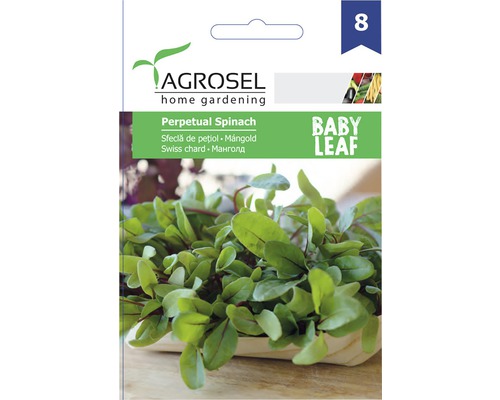 Semințe legume Agrosel sfeclă Baby Leaf PG8