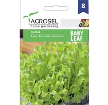 Semințe de salată rucola Baby Leaf PG8 Agrosel-thumb-0